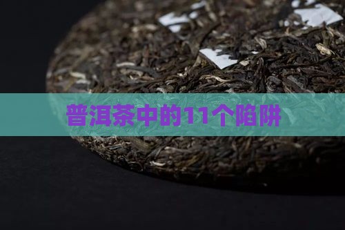 普洱茶中的11个陷阱