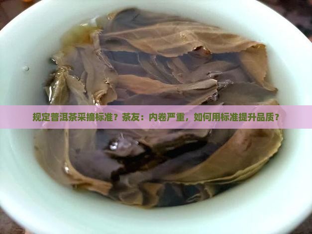 规定普洱茶采摘标准？茶友：内卷严重，如何用标准提升品质？