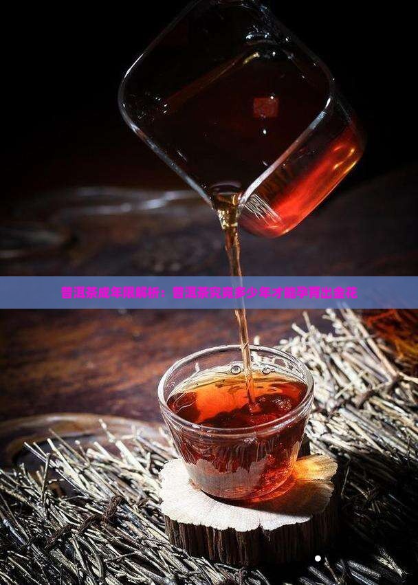 普洱茶成年限解析：普洱茶究竟多少年才能孕育出金花