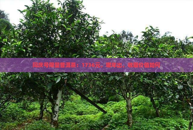 同庆号限量普洱茶：1736元，哪年出，收藏价值如何
