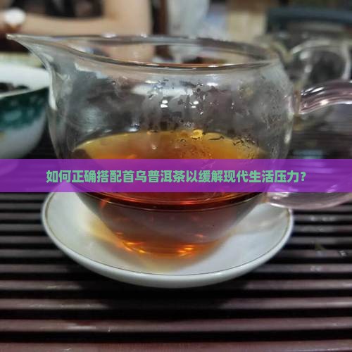 如何正确搭配首乌普洱茶以缓解现代生活压力？