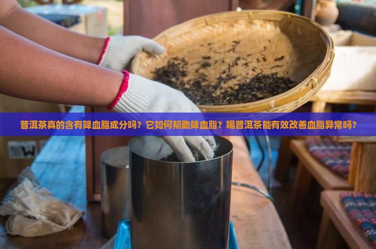 普洱茶真的含有降血脂成分吗？它如何帮助降血脂？喝普洱茶能有效改善血脂异常吗？