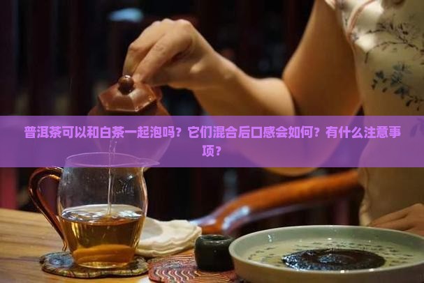 普洱茶可以和白茶一起泡吗？它们混合后口感会如何？有什么注意事项？