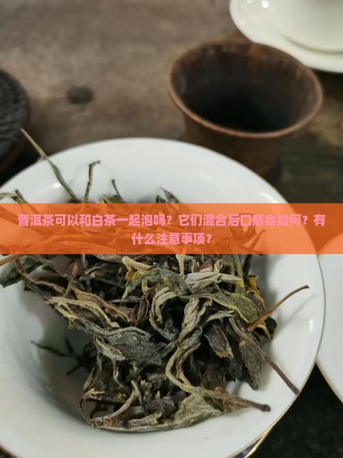 普洱茶可以和白茶一起泡吗？它们混合后口感会如何？有什么注意事项？