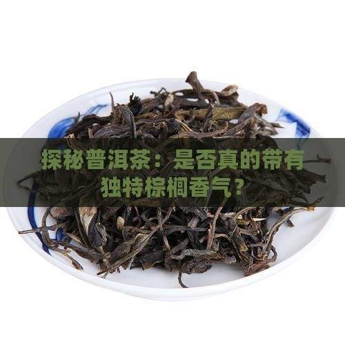 探秘普洱茶：是否真的带有独特棕榈香气？