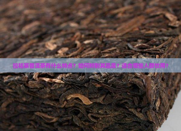 拉祜寨普洱茶有什么特点？如何辨别其品质？适合哪些人群饮用？