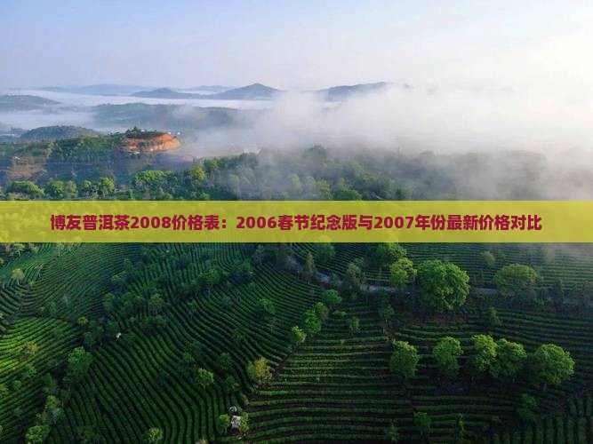 博友普洱茶2008价格表：2006春节纪念版与2007年份最新价格对比