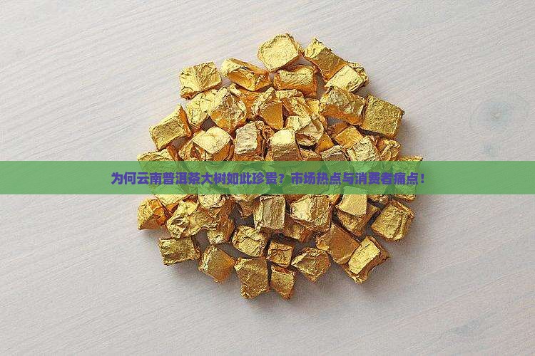 为何云南普洱茶大树如此珍贵？市场热点与消费者痛点！