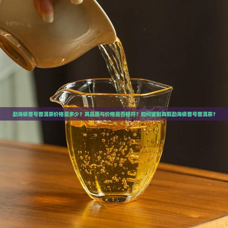 勐海极普号普洱茶价格是多少？其品质与价格是否相符？如何鉴别真假勐海极普号普洱茶？