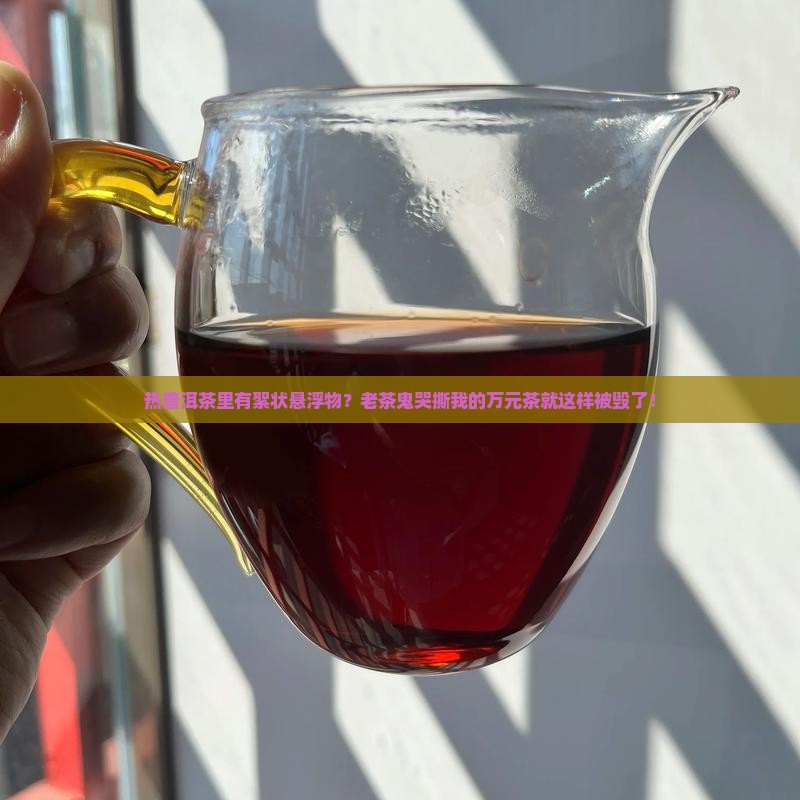 热普洱茶里有絮状悬浮物？老茶鬼哭撕我的万元茶就这样被毁了！