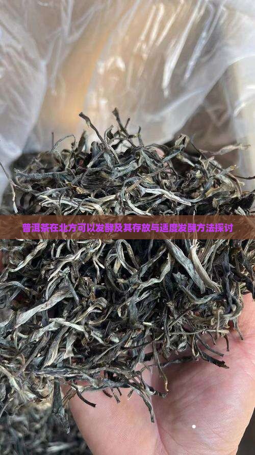 普洱茶在北方可以发酵及其存放与适度发酵方法探讨