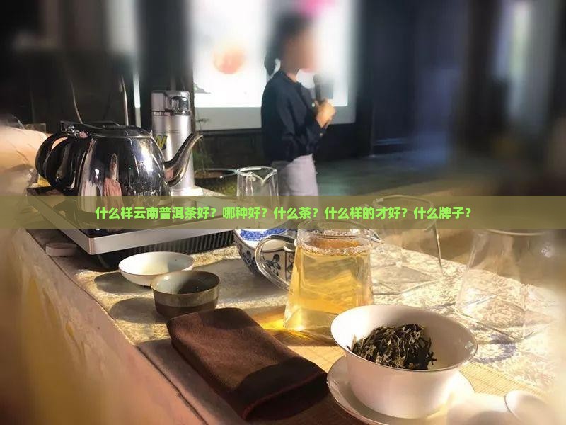 什么样云南普洱茶好？哪种好？什么茶？什么样的才好？什么牌子？