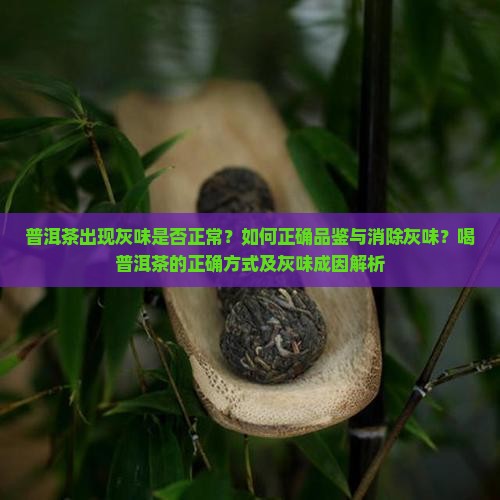 普洱茶出现灰味是否正常？如何正确品鉴与消除灰味？喝普洱茶的正确方式及灰味成因解析