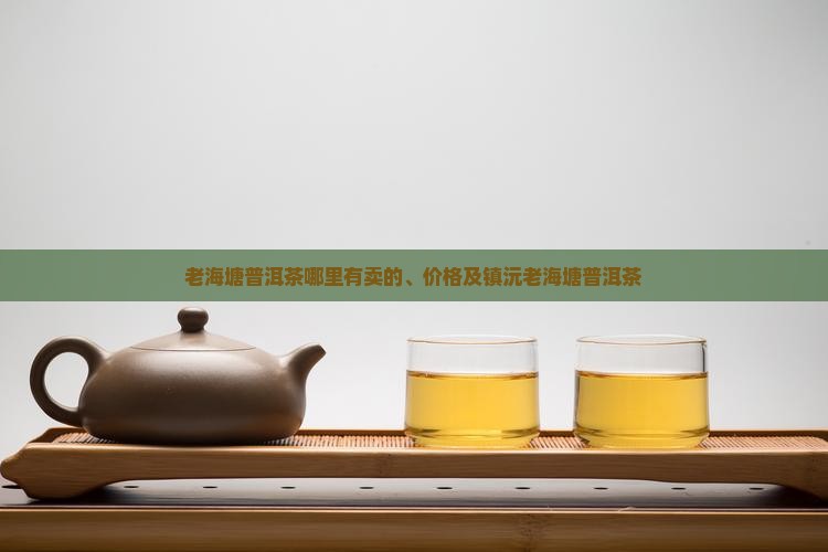 老海塘普洱茶哪里有卖的、价格及镇沅老海塘普洱茶