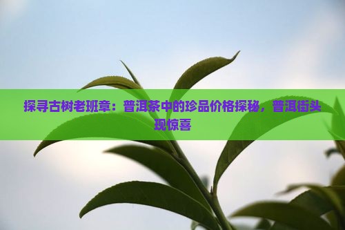探寻古树老班章：普洱茶中的珍品价格探秘，普洱街头现惊喜