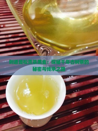 则道曼松贡茶黑金：探秘千年古树茶的秘密与传承之路
