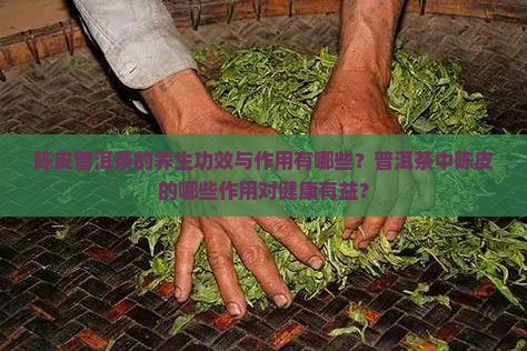 陈皮普洱茶的养生功效与作用有哪些？普洱茶中陈皮的哪些作用对健康有益？