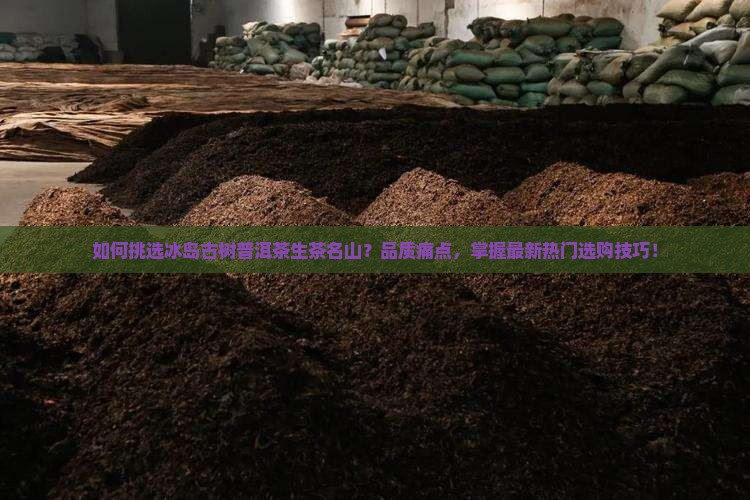 如何挑选冰岛古树普洱茶生茶名山？品质痛点，掌握最新热门选购技巧！