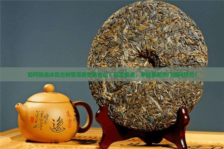如何挑选冰岛古树普洱茶生茶名山？品质痛点，掌握最新热门选购技巧！