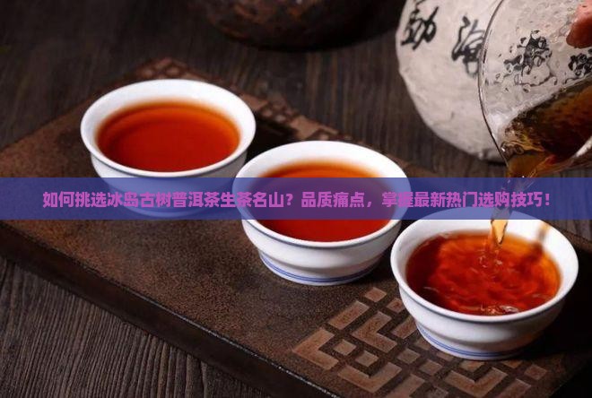 如何挑选冰岛古树普洱茶生茶名山？品质痛点，掌握最新热门选购技巧！