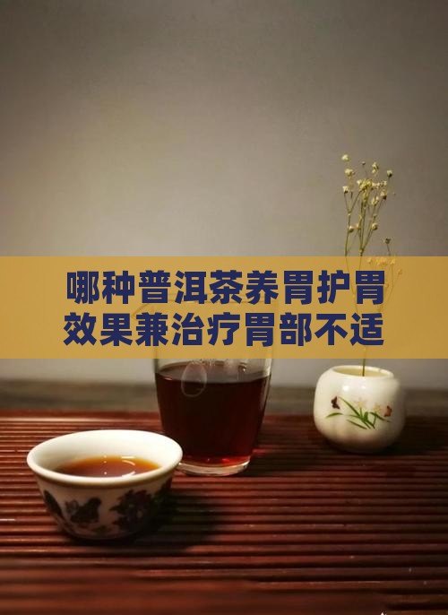 哪种普洱茶养胃护胃效果兼治疗胃部不适