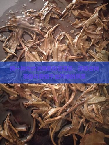 换一种方式说我爱你普洱茶：深探古树茶香与爱情千丝万缕的联系