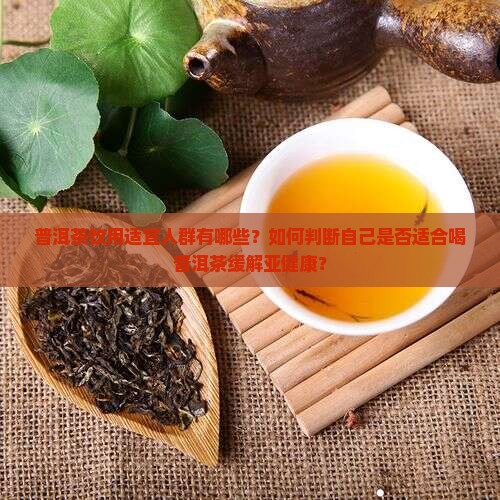 普洱茶饮用适宜人群有哪些？如何判断自己是否适合喝普洱茶缓解亚健康？