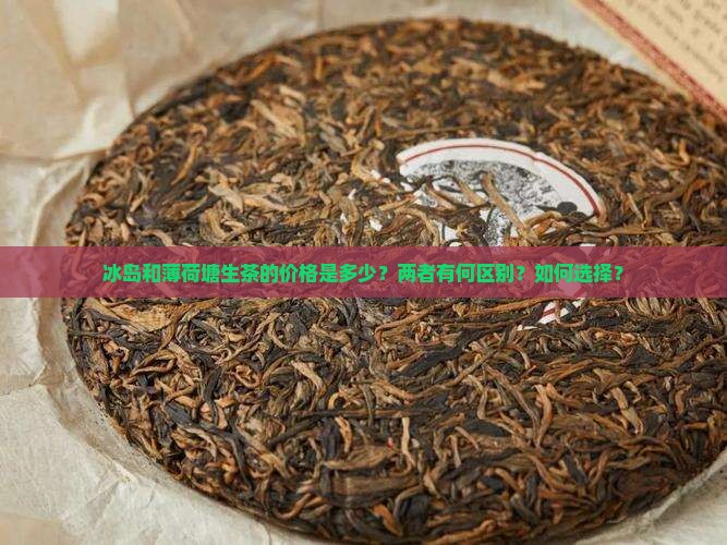 冰岛和薄荷塘生茶的价格是多少？两者有何区别？如何选择？