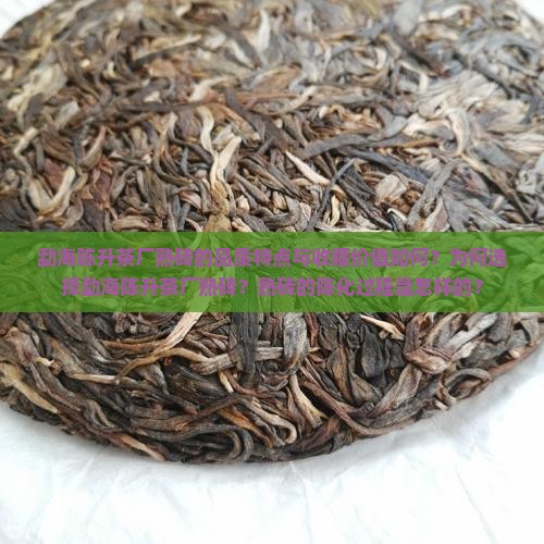 勐海陈升茶厂熟砖的品质特点与收藏价值如何？为何选择勐海陈升茶厂熟砖？熟砖的陈化过程是怎样的？