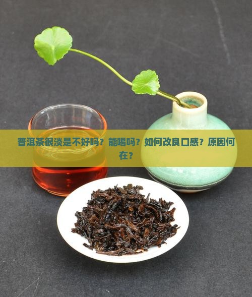普洱茶很淡是不好吗？能喝吗？如何改良口感？原因何在？