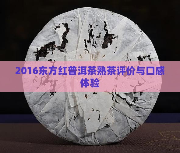 2016东方红普洱茶熟茶评价与口感体验