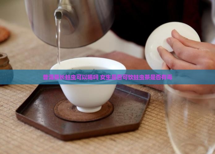 普洱茶长蛀虫可以喝吗 女生是否可饮蛀虫茶是否有毒