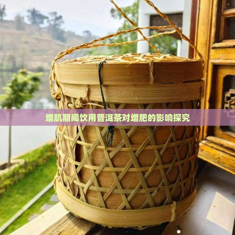 增肌期间饮用普洱茶对增肥的影响探究