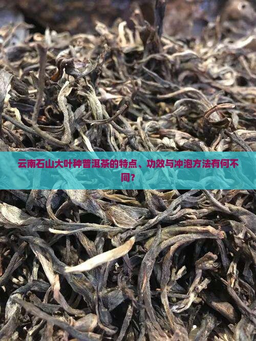 云南石山大叶种普洱茶的特点、功效与冲泡方法有何不同? 云南石山大叶种普洱茶的特点、功效与冲泡方法有何不同?