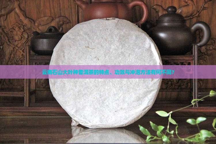 云南石山大叶种普洱茶的特点、功效与冲泡方法有何不同? 云南石山大叶种普洱茶的特点、功效与冲泡方法有何不同?