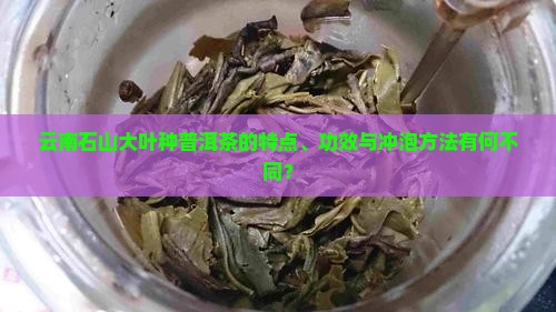 云南石山大叶种普洱茶的特点、功效与冲泡方法有何不同? 云南石山大叶种普洱茶的特点、功效与冲泡方法有何不同?