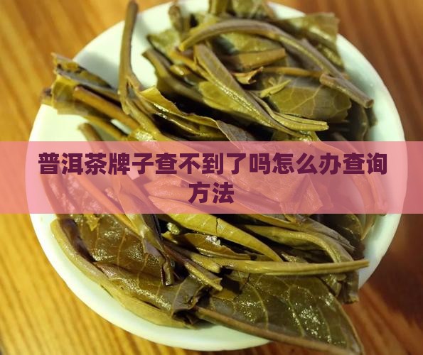普洱茶牌子查不到了吗怎么办查询方法 普洱茶牌子查不到了吗怎么办查询方法