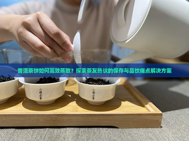 普洱茶饼如何高效蒸散？探索茶友热议的保存与品饮痛点解决方案