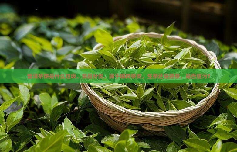 普洱茶饼是什么垃圾、食品分类，属于哪种茶类，生茶还是熟茶，是否脏污？