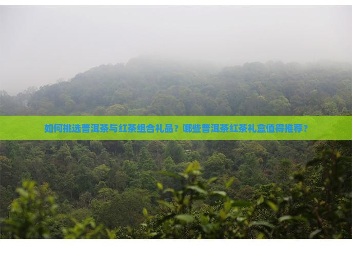 如何挑选普洱茶与红茶组合礼品？哪些普洱茶红茶礼盒值得推荐？