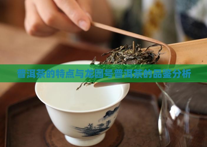 普洱茶的特点与龙园号普洱茶的品鉴分析