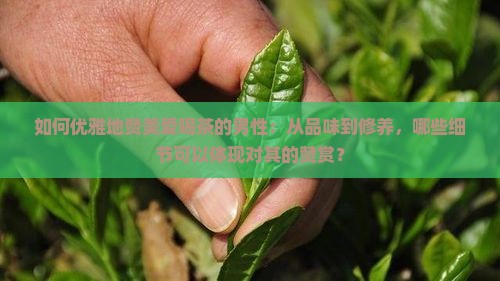 如何优雅地赞美爱喝茶的男性：从品味到修养，哪些细节可以体现对其的赞赏？