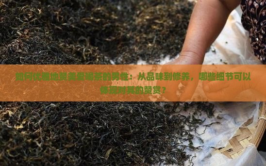 如何优雅地赞美爱喝茶的男性：从品味到修养，哪些细节可以体现对其的赞赏？