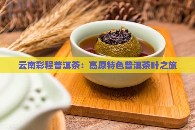 云南彩程普洱茶：高原特色普洱茶叶之旅
