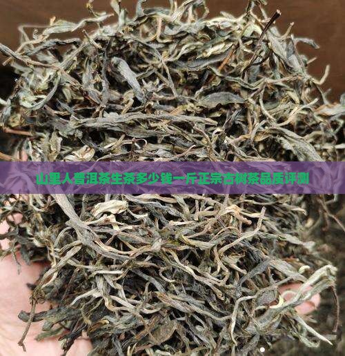 山里人普洱茶生茶多少钱一斤正宗古树茶品质评测