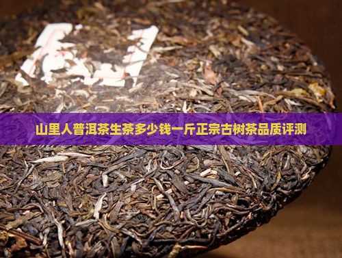 山里人普洱茶生茶多少钱一斤正宗古树茶品质评测