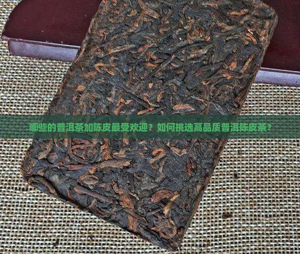 哪些的普洱茶加陈皮最受欢迎？如何挑选高品质普洱陈皮茶？