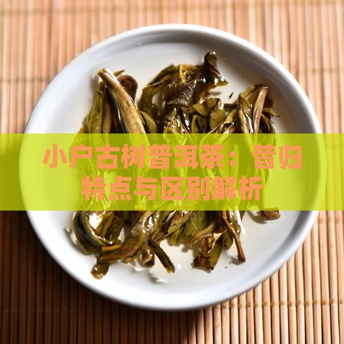小户古树普洱茶：昔归特点与区别解析