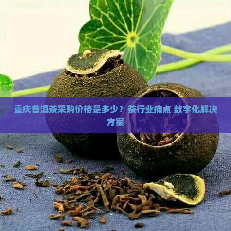 重庆普洱茶采购价格是多少？茶行业痛点+数字化解决方案
