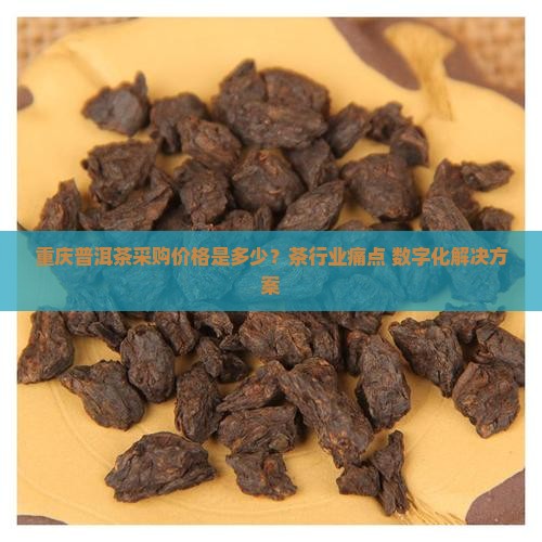 重庆普洱茶采购价格是多少？茶行业痛点+数字化解决方案